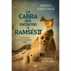 ARQUEOLOGICO EN EGIPTO