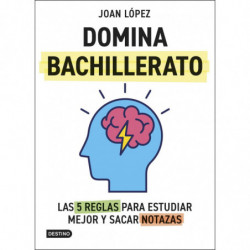 DOMINA BACHILLERATO - LAS 5 REGLAS PARA ESTUDIAR MEJOR Y SACAR NOTAZAS