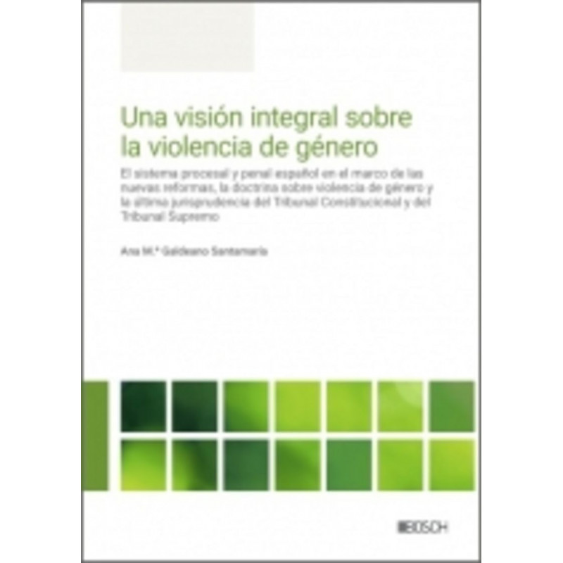 UNA VISION INTEGRAL SOBRE LA VIOLENCIA DE GENERO
