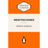 MEDITACIONES (SERIE GREAT IDEAS)